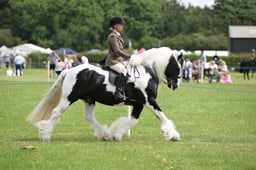 N36_0912 2026