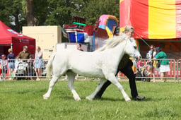 E34_1462 2026