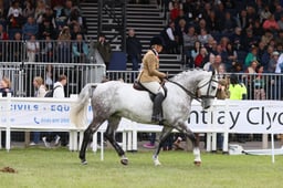 E44_2865 2026