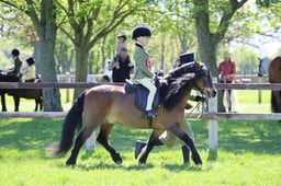 79-78 M&M Mini Novice Winter Championship