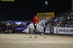 Supreme Horse of the Year - Prelim