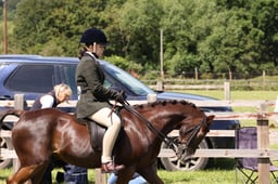 H233 SFAS Working Pony