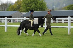 42 M&M Novice Lead Rein