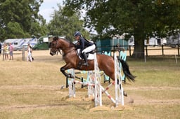 173 GREENHAYS BLUEBERRY