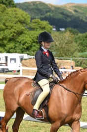 81 Novice Show Pony 148cm