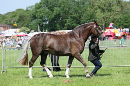 C33_1045 2026