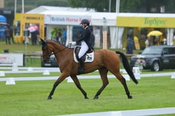 146 OVERIS CAVALIER