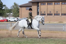E66_4080 2026