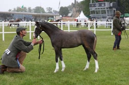 M45_3477 2026