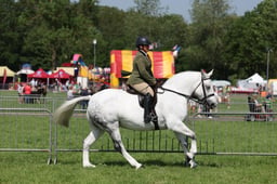 C34_1039 2026