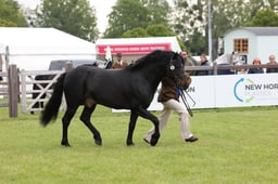 W29_0767 2026