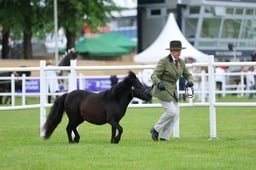 H44_8417 2026