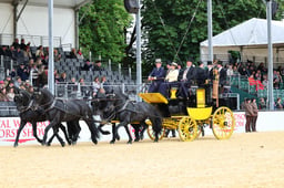 H29_2051 2026