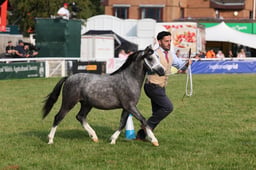 C69_4351 2026