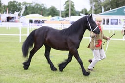 E45_0374 2026