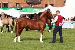 E69_0518 2026