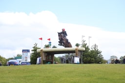 D39_3834 2026