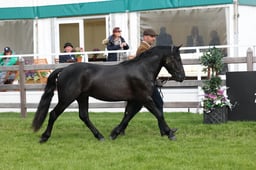 W29_0575 2026
