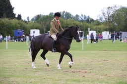 W36_1457 2026