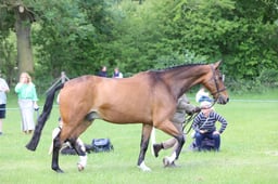 J36_6902 2026
