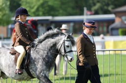 55 Unaffiliated Lead Rein