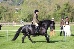 C19_0467 2026