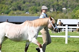 S19_7639 2026