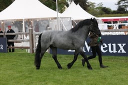 W29_0722 2026