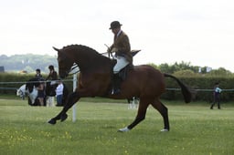 E36_0504 2026