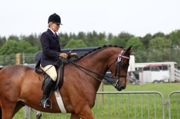 35 HOYS Large Hack