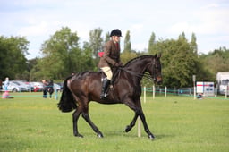 W36_2508 2026