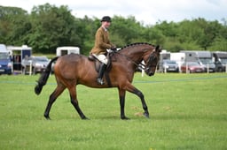 03-01 Ridden Hunter Championship