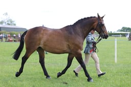 J36_6956 2026