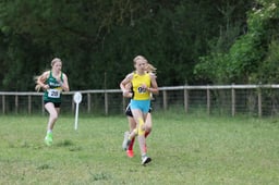 Heat 11