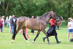 J36_7017 2026