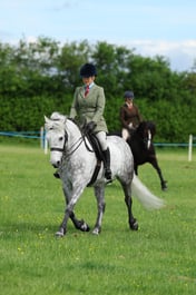 H36_7644 2026