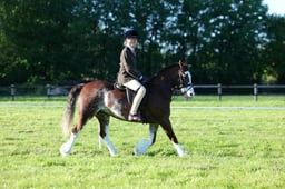 M19_1153 2026
