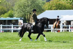 H19_0520 2026