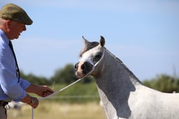 H60_0277 2026