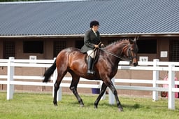 Z43_5301 2026