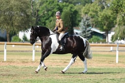 H65_0353 2026