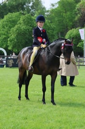 S31_5510 2026