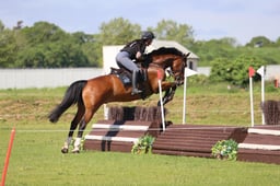 024 NO.73 ZAK