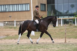 121E Coloured Championship