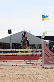 Castle Arena