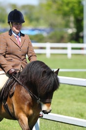 58 M&M Open Ridden Dart Ex Shet