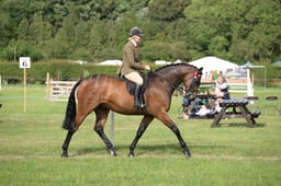 12-11 Riding Horse Championship