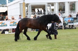 M44_0575 2026