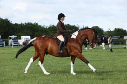 E36_0421 2026