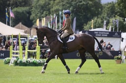 S38_0736 2026